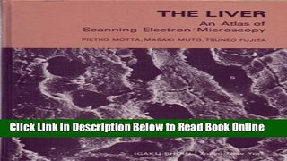 Read The Liver: An Atlas of Scanning Electron Microscopy  PDF Free