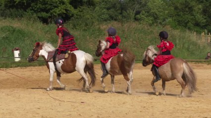 Zorro aux écuries de l'Aubrée