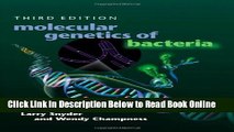 Read Molecular Genetics of Bacteria, Third Edition (Snyder, Molecular Genetics of Bacteria)  PDF