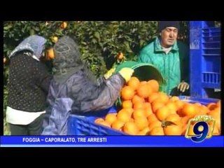Foggia |  Caporalato, 3 arresti