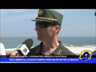 Reati ambientali, un nuovo numero verde per le denunce