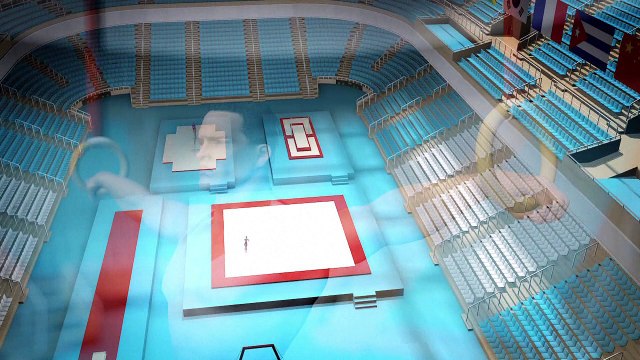 Artistic gymnastics: a feat of strength, flexibility and balance