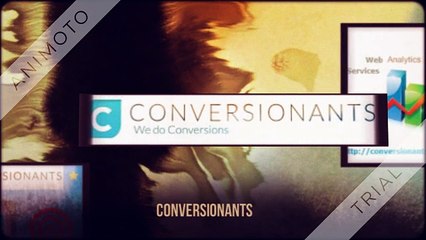 Website Design and Optimization