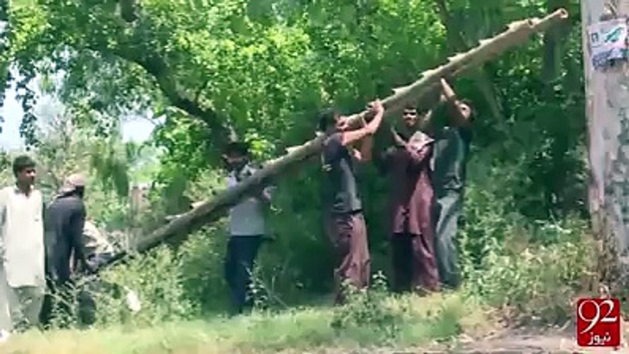 news for animals new 2016