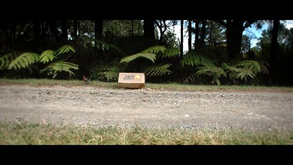 Accidents, Gaffes et Calamités