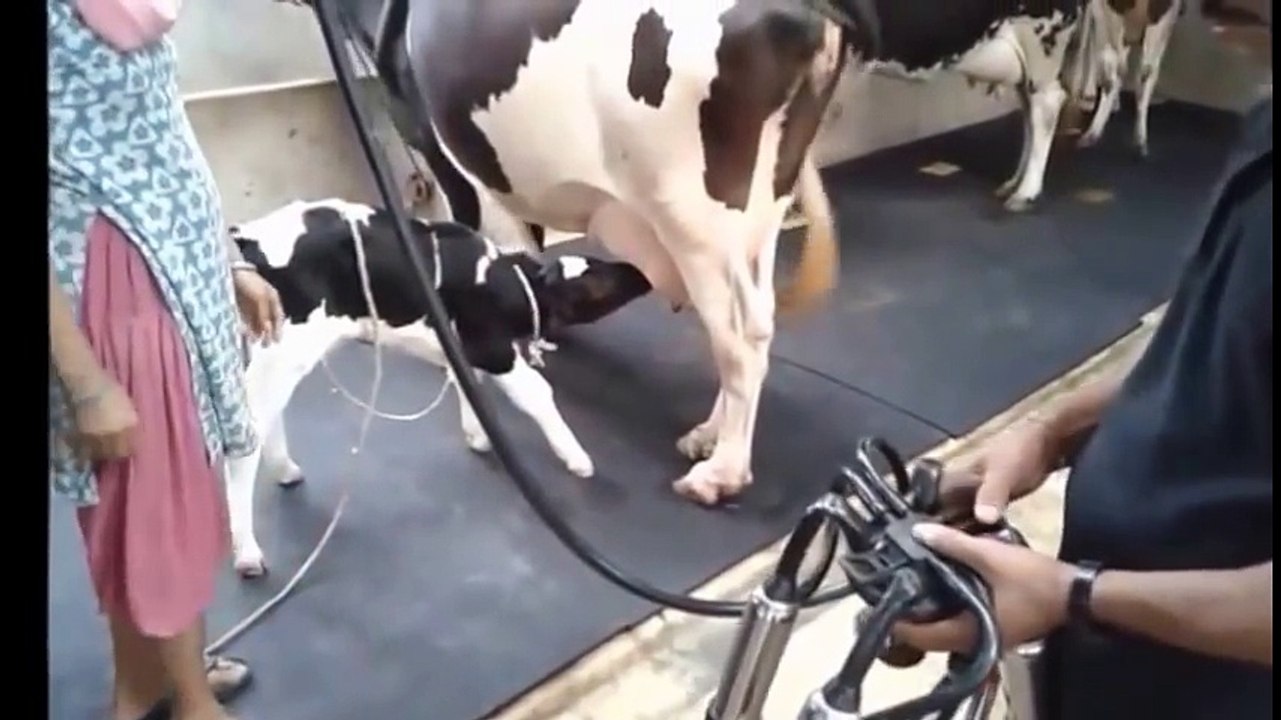 Milking machine