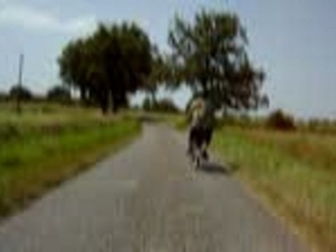 Solex GAGAs 070715 - 00 - Magnum fait du Solex