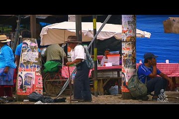 La minute maillot vert ŠKODA - Étape 1 Utrecht / Utrecht - Tour de France 2016