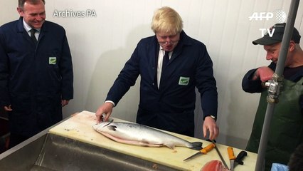 Boris Johnson renonce à succéder à David Cameron