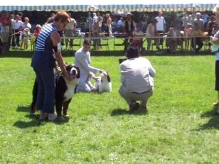 VIDEO AURILLAC 2007 007