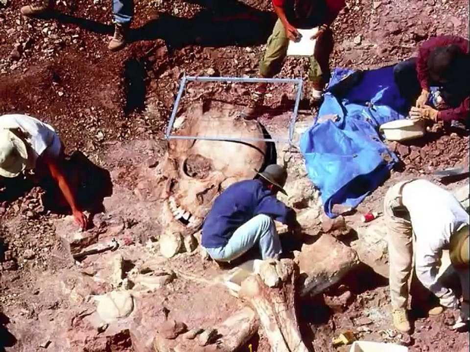 Des squelettes d'humains géants retrouvés par les archéologues