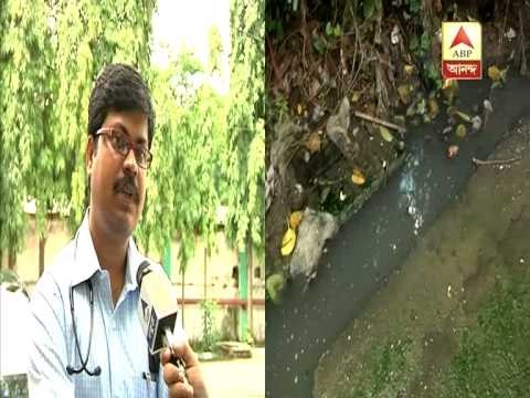 Doctor Asish Mitra says about Dengue Fever Symptoms, Treatment