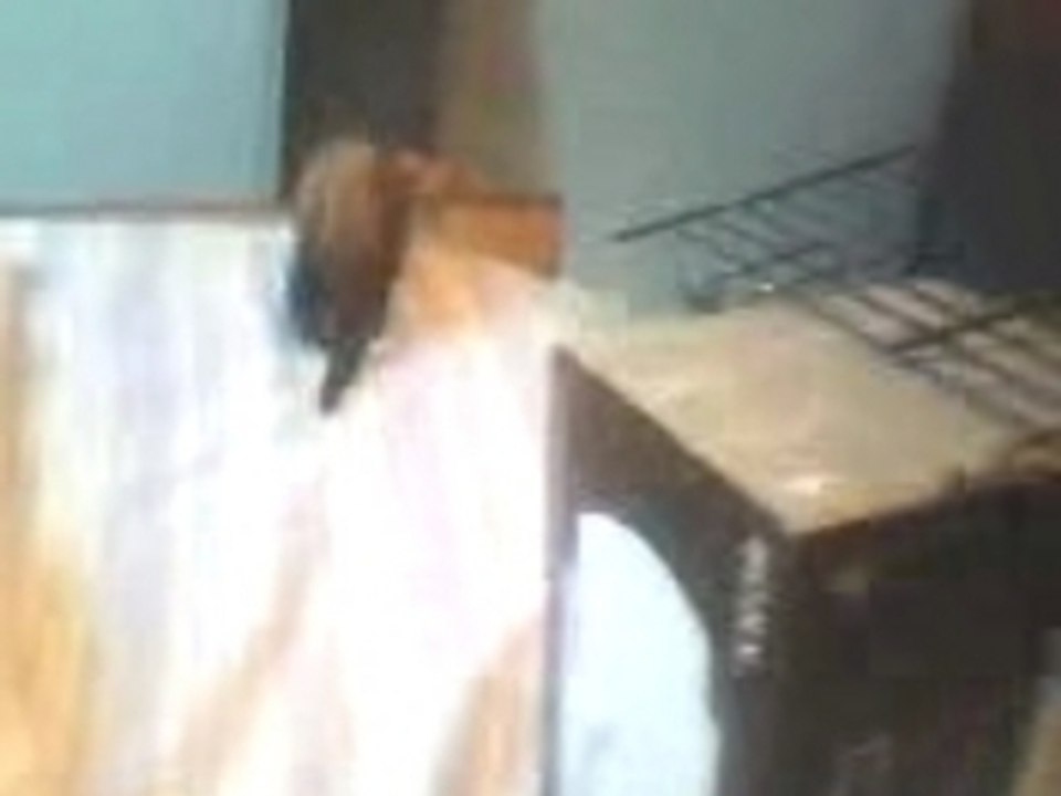 Nala et Danaé 2