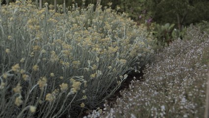 Une agriculture plus naturelle (Nature = Futur !)