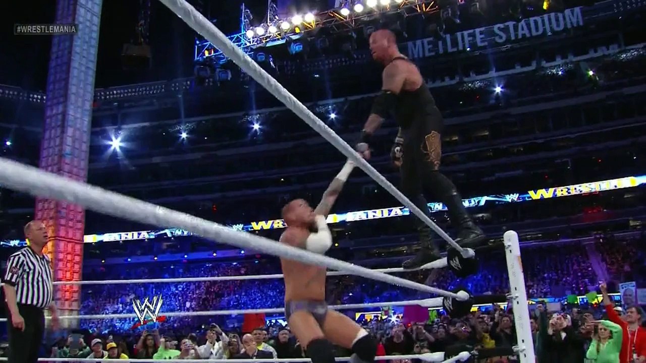 CM Punk vs Undertaker WrestleMania 29 Highlight...