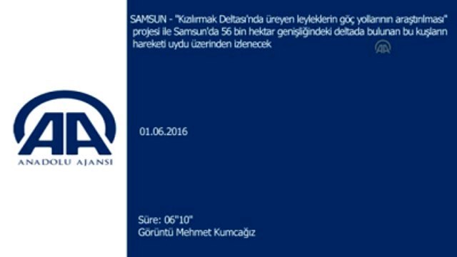 Verici Takılan Leyleklere Uydudan Takip -Samsun