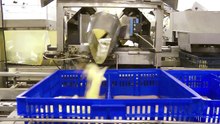 Priviți ce lucruri ÎNGROZITOARE se petrec în industria cărnii.. Au filmat în SECRET pentru a arăta publicului realitate