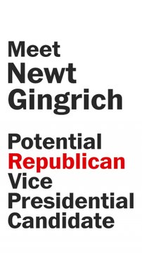 Meet Newt Gingrich