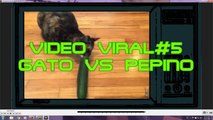 VIDEO VIRAL#5,videos virales, videos de caidas, videos chistosos,videos de risa, videos de humor,vid