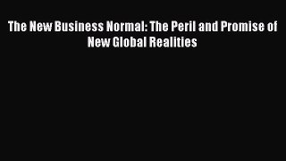 Read The New Business Normal: The Peril and Promise of New Global Realities Ebook Free