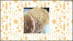 Recipe Potato Chip Cookies VI