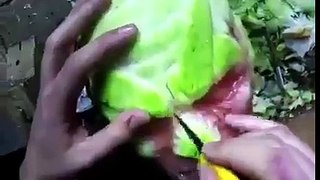 fruit carving | Face on watermelon