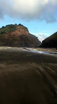 Piha beach Auckland New Zealand