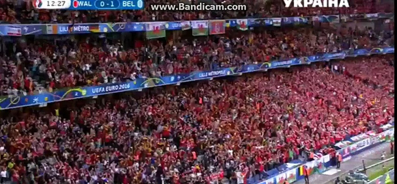 Radja Nainggolan Voley Goal - Wales 0-1 Belgium - 01-07-2016