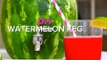 3 Easy Steps to Make a DIY Watermelon Keg at Home