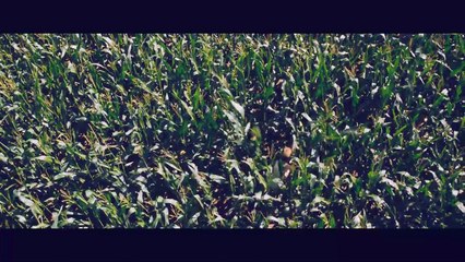 Boa Noite, Mamãe! - Trailer Legendado