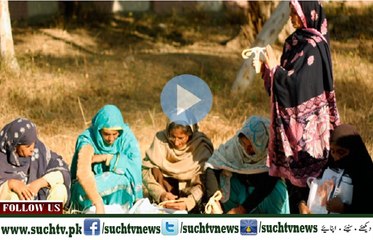 Regional News Bulletin 04pm 01 July 2016 - SuchTV