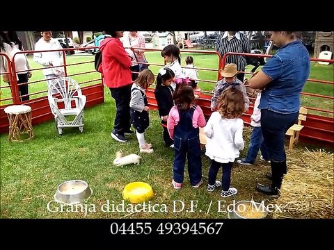 FIESTAS INFATILES. Granja Didactica. PONYS. Renta de ponis. GRANJITA DIDACTICA. fiestas a domicilio.