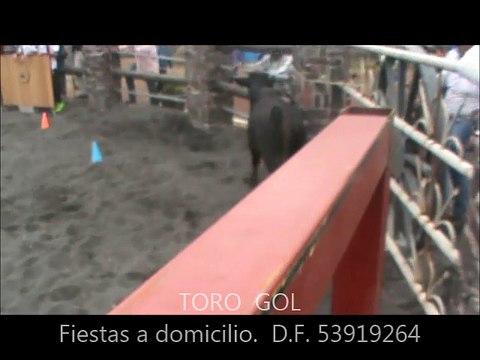 FIESTA RODEO COMICO. Charlotada TORO GOL vaquillas bravas,