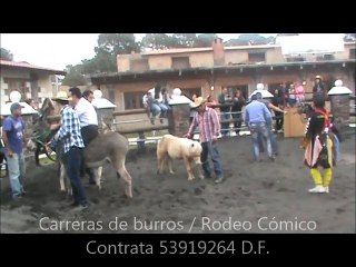 TORO GOL. vaquillas  bravas CARRERAS DE BURROS charlotada,