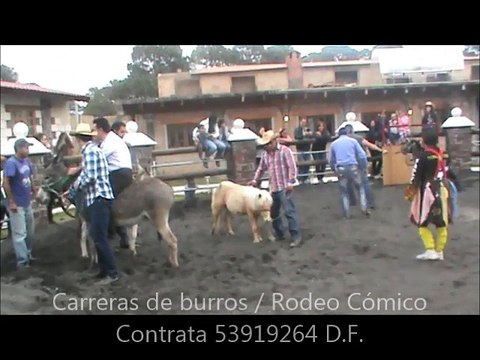 TORO GOL. vaquillas bravas CARRERAS DE BURROS charlotada,