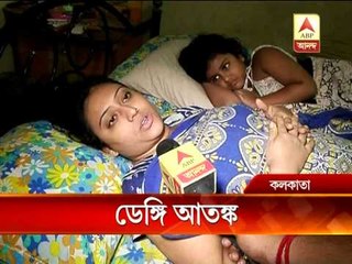 Dengue panic still sweeps