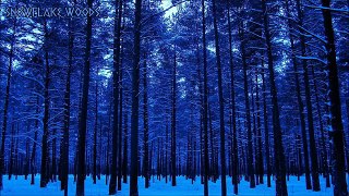 Winter Instrumental Music - Video Dailymotion_youtube_original