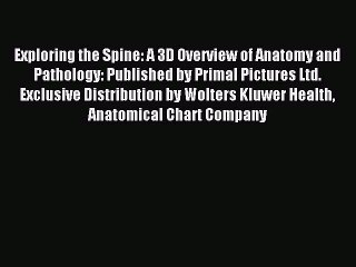 Download Exploring the Spine: A 3D Overview of Anatomy and Pathology: Published by Primal Pictures