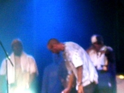 La fouine-je viens de loin -MLJ