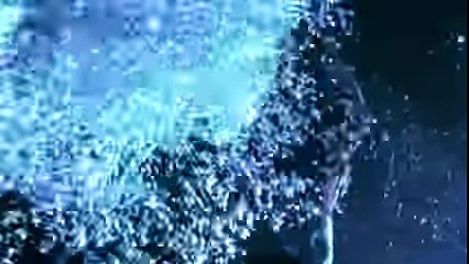 What is the point at which life Begins