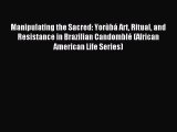 Read Manipulating the Sacred: YorÃ¹bÃ¡ Art Ritual and Resistance in Brazilian CandomblÃ© (African