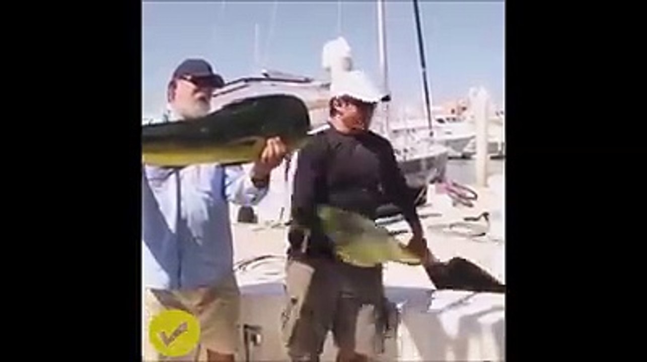 Funny_Compilation_of_FAILS1!