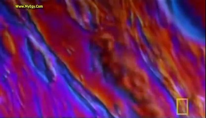 ماذا يحدث للجسم أثناء وبعد الممارسة الجنسية؟ .. مترجم