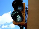 Mexicos Crazy Animated Crosswalk