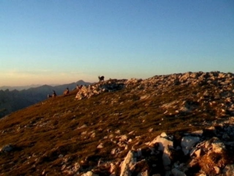 grand veymont