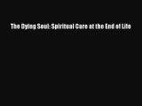 Download The Dying Soul: Spiritual Care at the End of Life Ebook Free