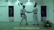 Okinawa Shorin-ryu Karate: Parent Style of Shotokan (clip 10)