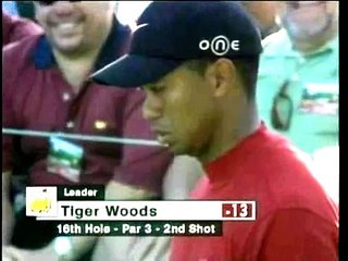 Best golf shot ever played