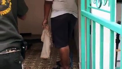 Un lézard géant s'incruste dans une maison. Capture difficile