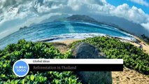 Planting mangroves in Thailand | Global 3000